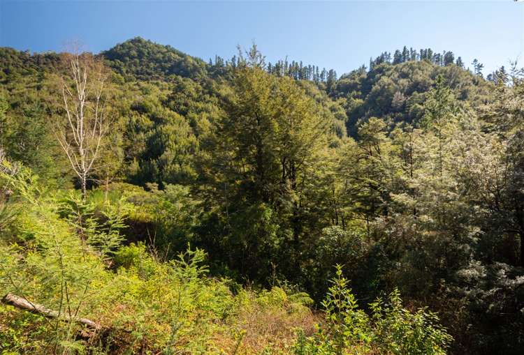 1000 Wakamarina Road Havelock_10