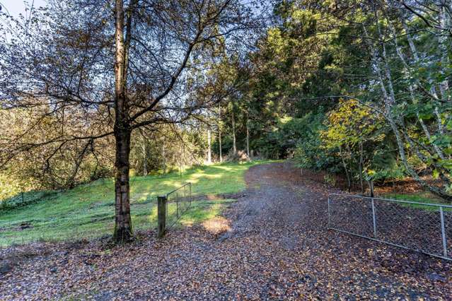 315 Leith Valley Road Leith Valley_2