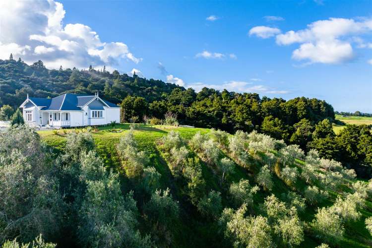 31 Olive Grove Mangawhai_71