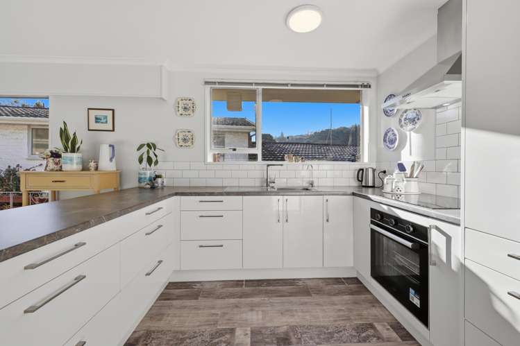 388B Kaikorai Valley Road Bradford_7
