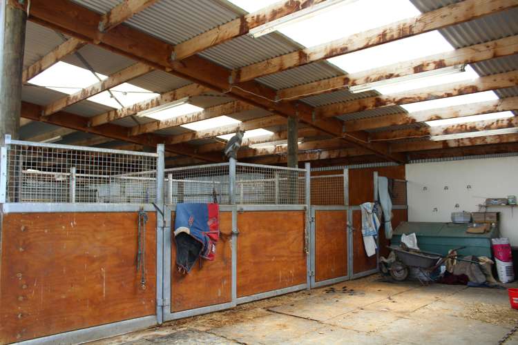 446 Anderson Road Winton Surrounds_15