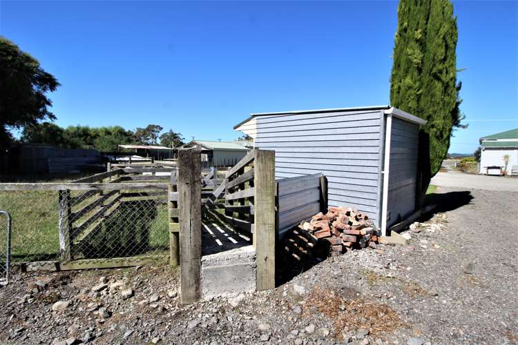 49899 State Highway 3 Woodville_22