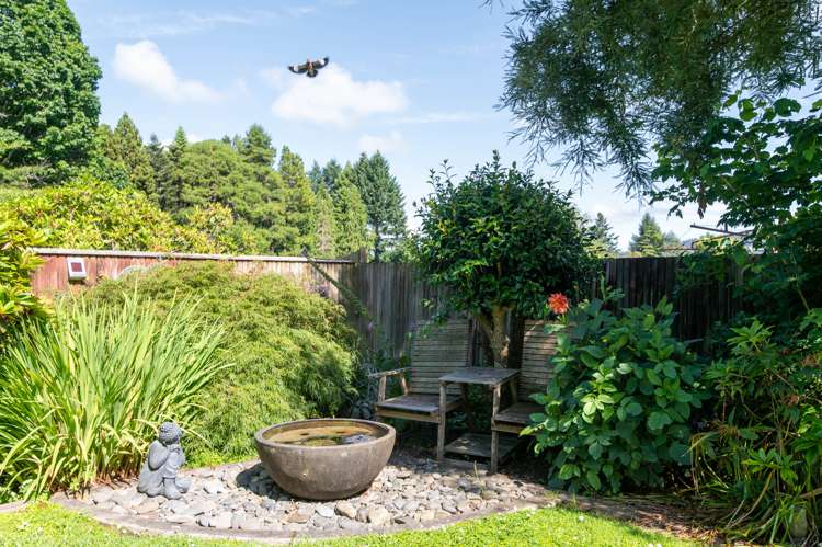 24 Mcdowell Street Springfield_18