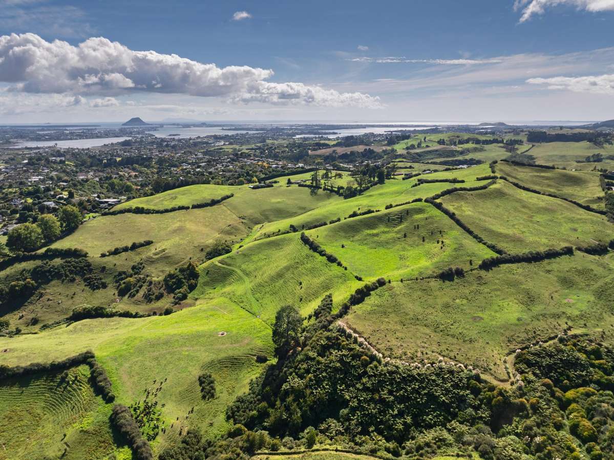 120/125 Upper Ohauiti Road_3