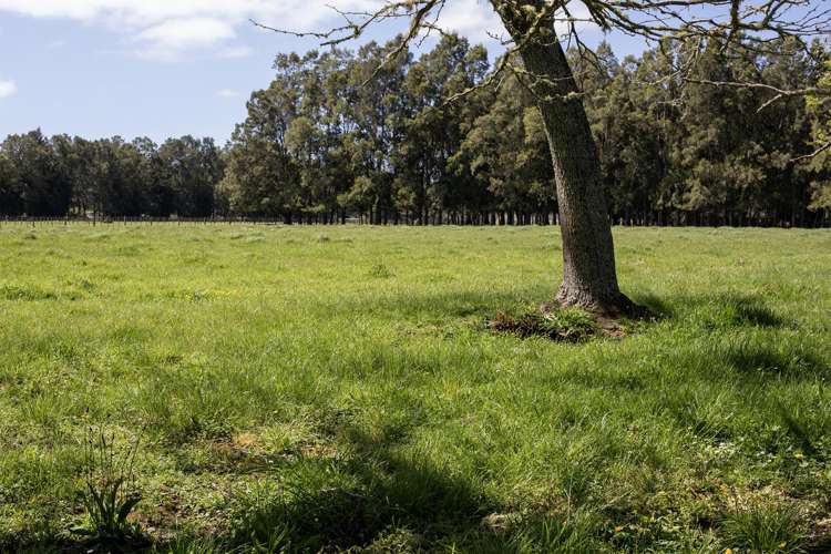 6926A Mangakahia Road Kaikohe_40