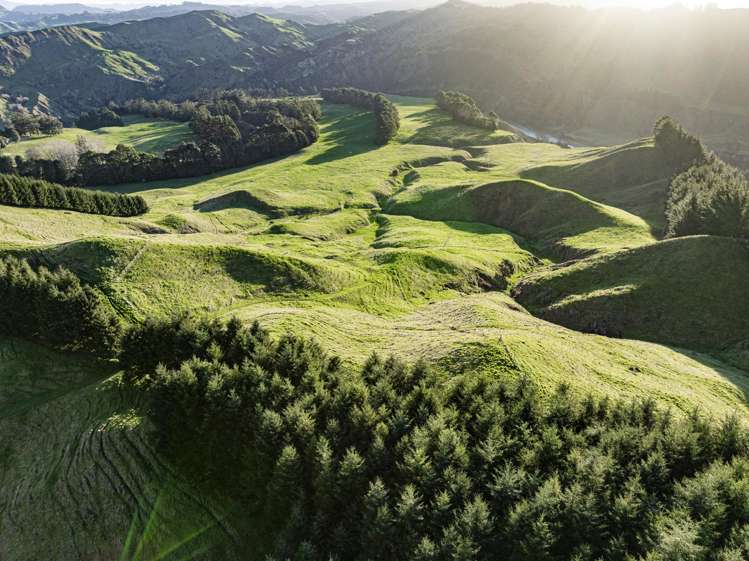 1015 Waitara Road Te Haroto_0