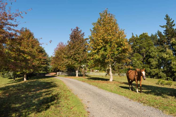 1608e State Highway 10 Kerikeri_1