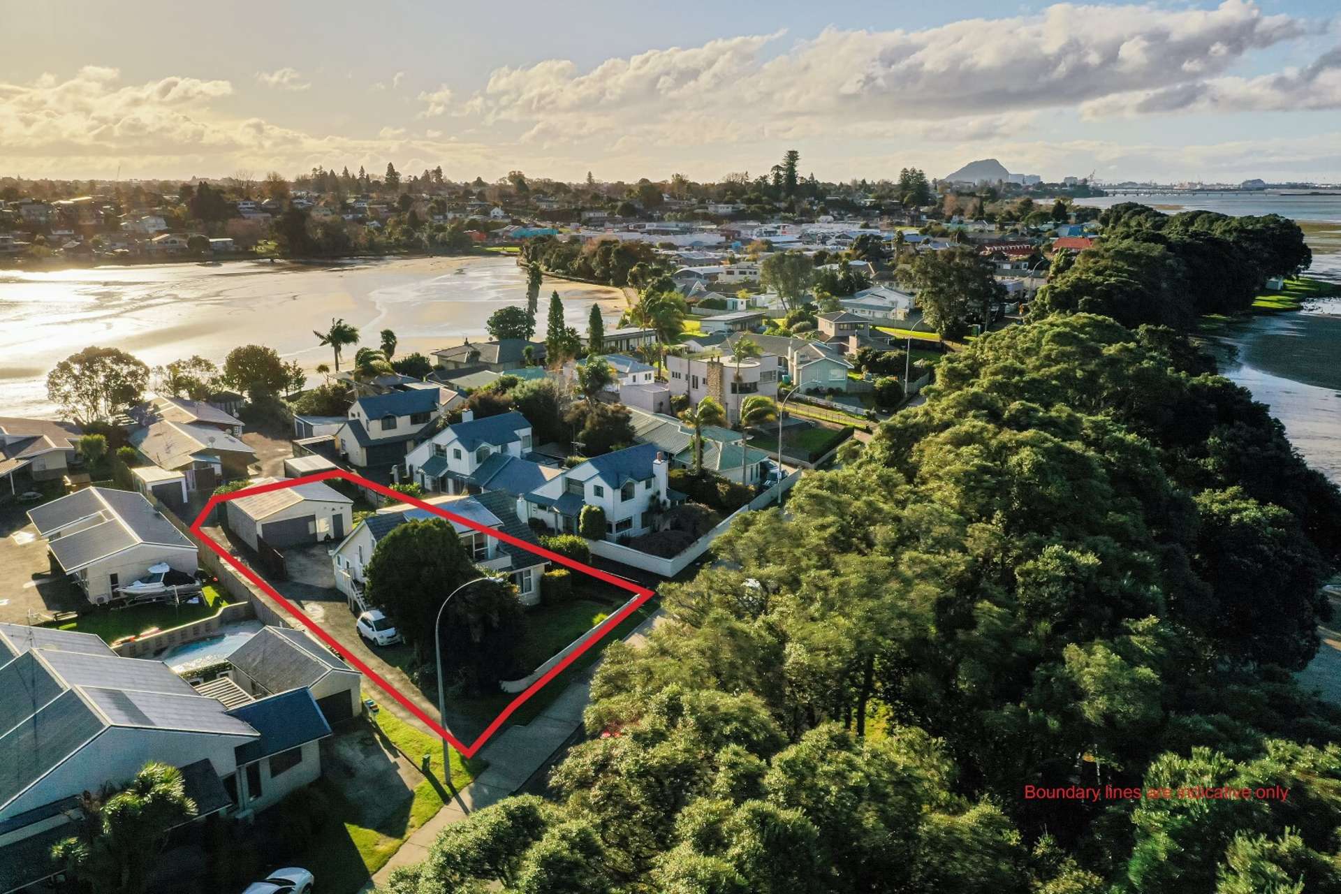 83 Turret Road Tauranga South_0