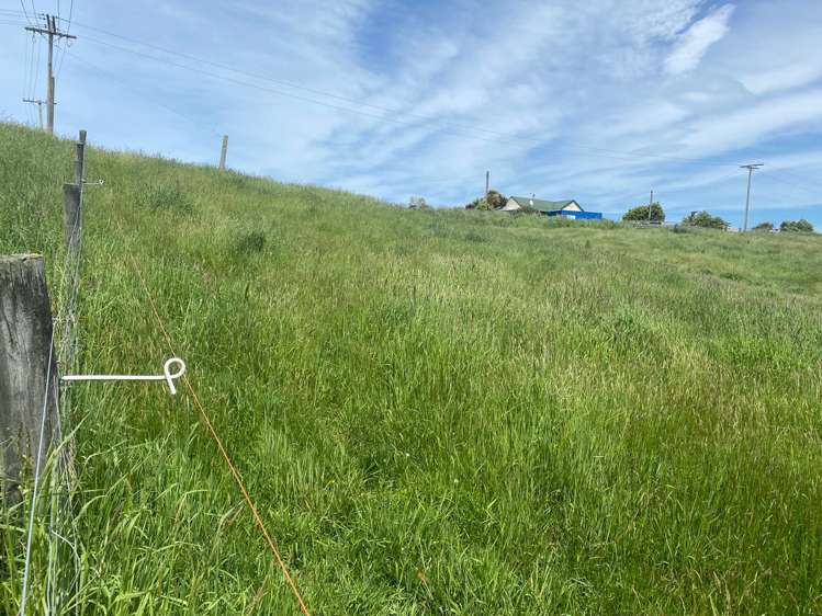 Durham Street Hampden_3