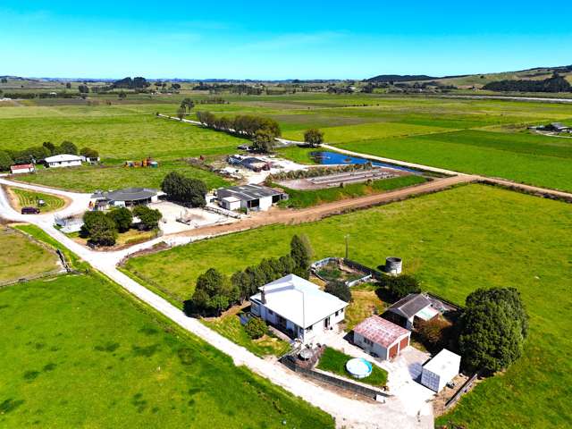 Dairy Farm Handy to Dargaville