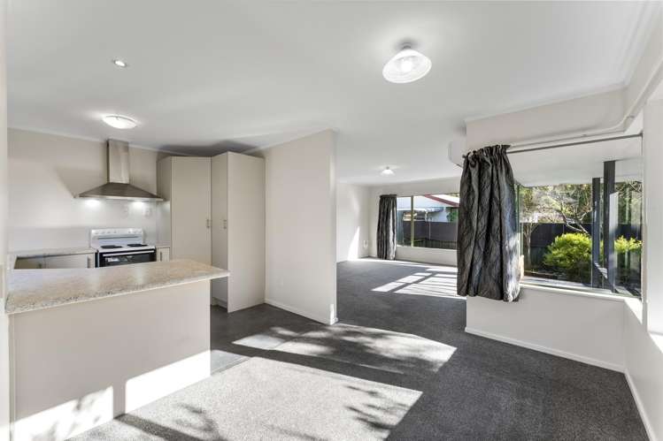 2/204 Kawai Street Nelson South_7