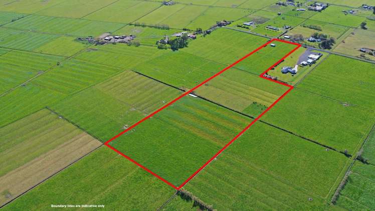 45 Arawa Street Pipiroa_9