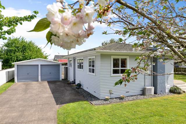 5 Lemon Street Frankton_1