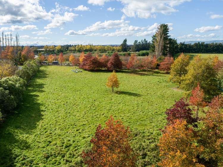 Lot 2, 30 Market Road Greytown_7