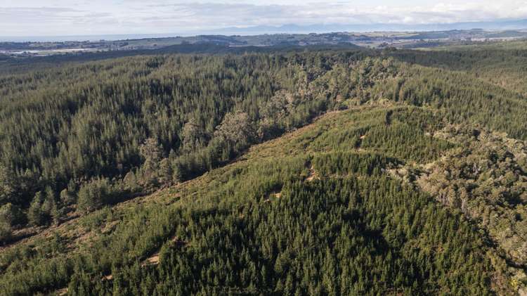 441 Waiwhero Road Ngatimoti_39