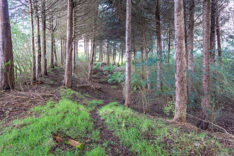 146 Omahu Valley Road Puriri_21