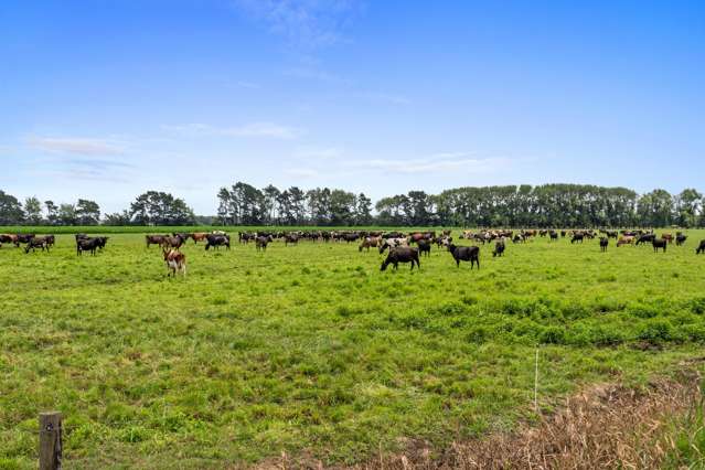 51A Waverley Road Gordonton_2