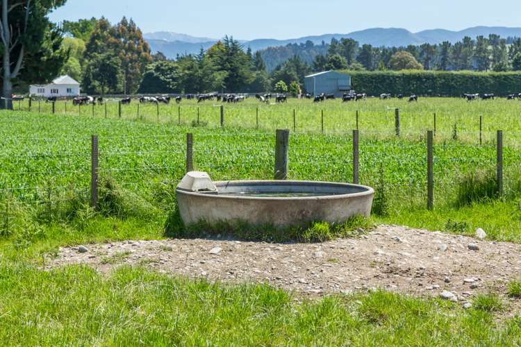 30 Tippings Road Cust_16