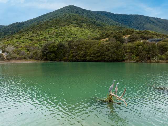 Lot 89 Kaiuma Bay Road, Pelorus Sound Marlborough Sounds_2