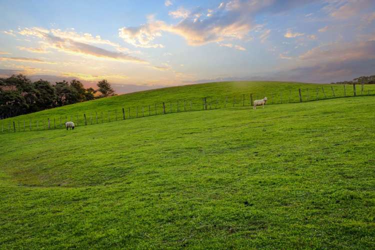 153 Waikoukou Valley Road Waimauku_15