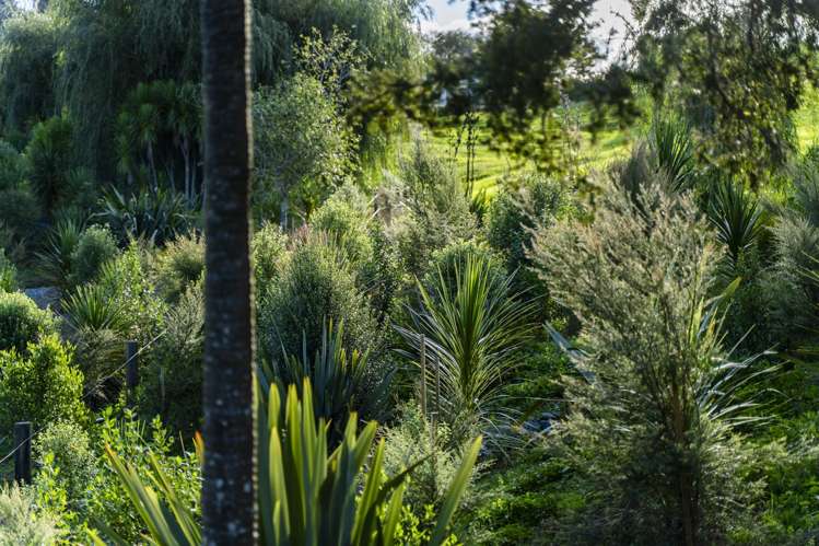 45C Finlayson Road Matarau_8