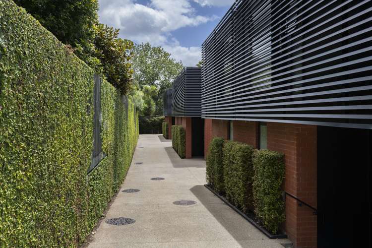 3/1a Park Rise Campbells Bay_16