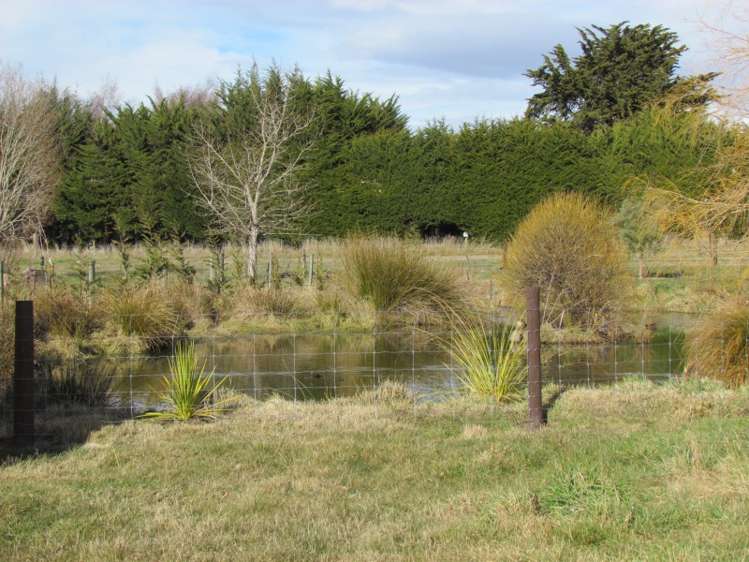 18 Symes Road Alexandra_13