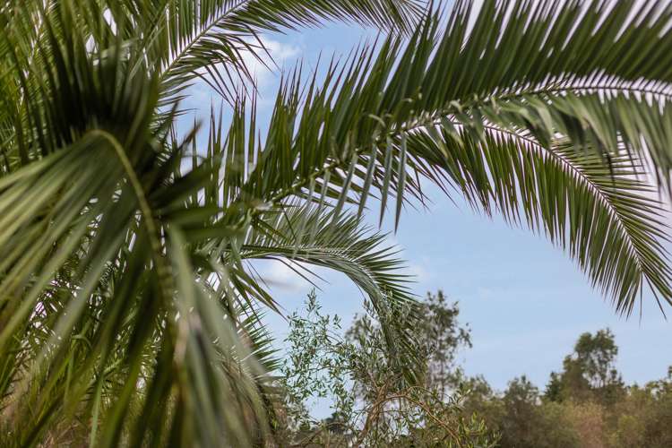 45, 49 and 51 End Farm Road_0