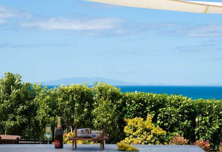 14 Rongoa Road Okura Bush_4