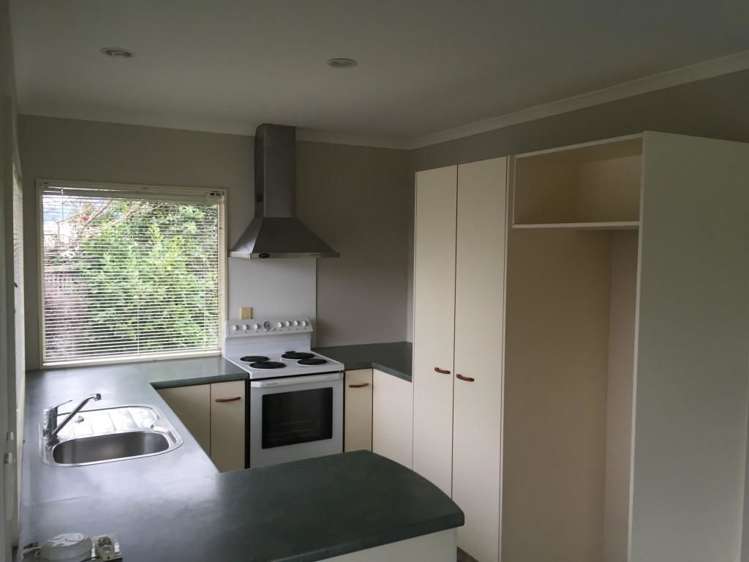 19 Olive Avenue Nukuhau_1