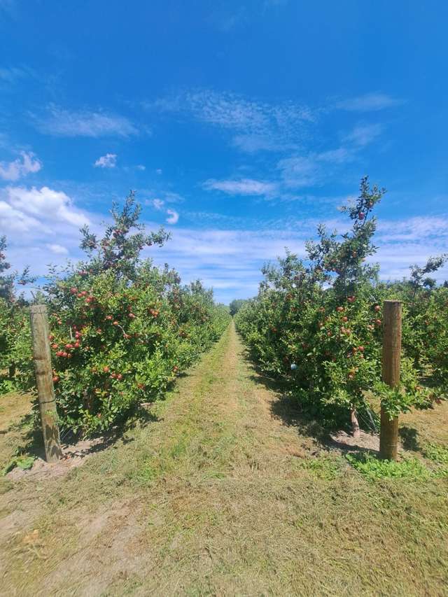 Rockit Orchard No.2 LP Hastings_3