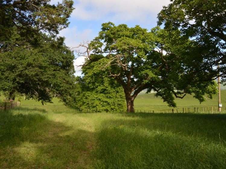 1035 Bayley Road Wharepuhunga_20