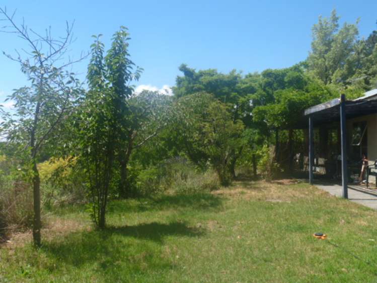 241 Blackman Road Alexandra_15