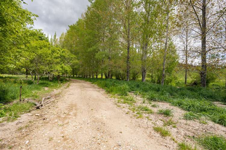 98 Thorpe-Orinoco Road Ngatimoti_35