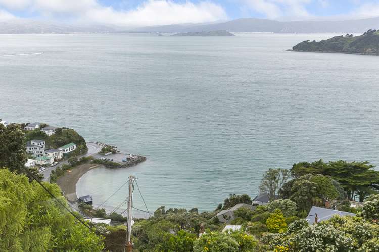 106 Grafton Road Roseneath_17