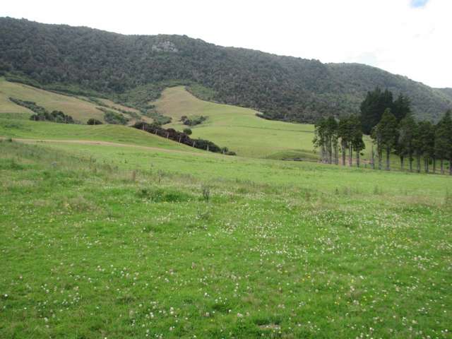 424 Dewe Road Catlins Surrounds_1