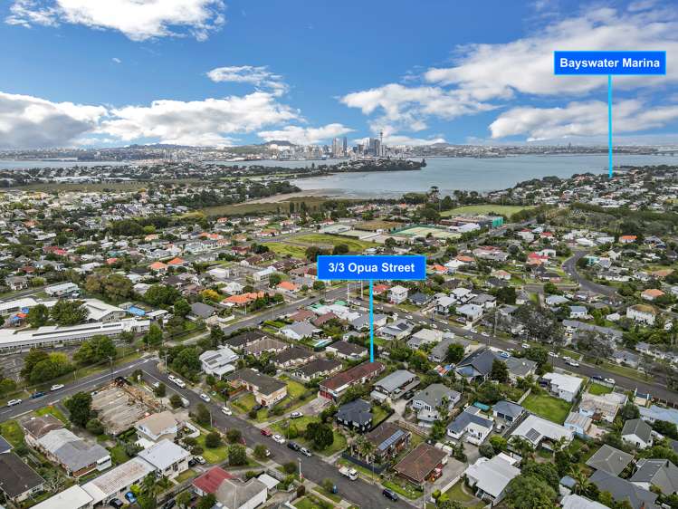 3/3 Opua Street Belmont_6