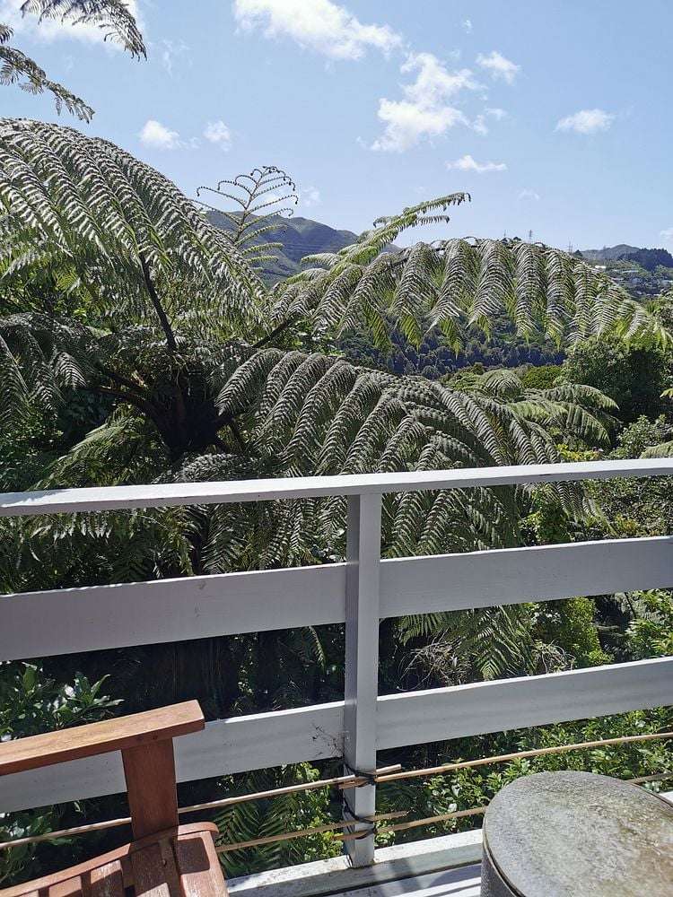 19 Rochester Street Wilton_13