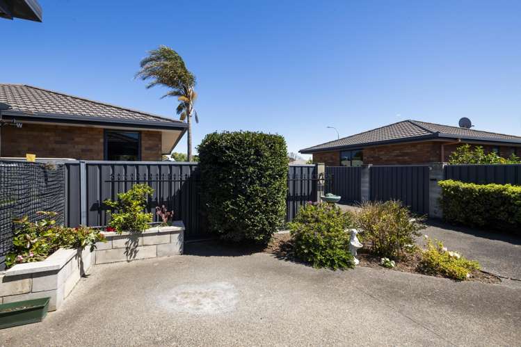 107A Ormond Road Whataupoko_18