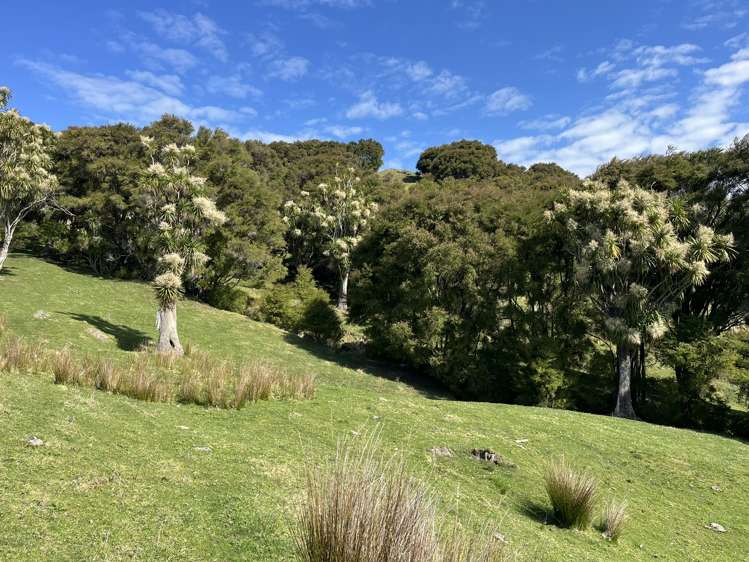 1050 Ellis Wallace Road Eskdale_1