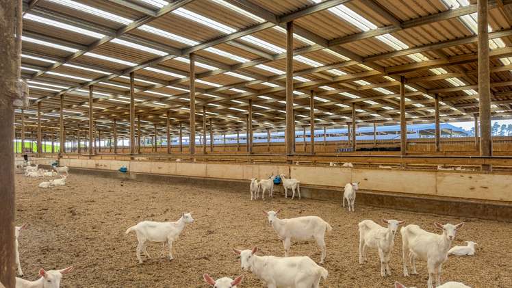 61 Cuff Road Kingseat_17