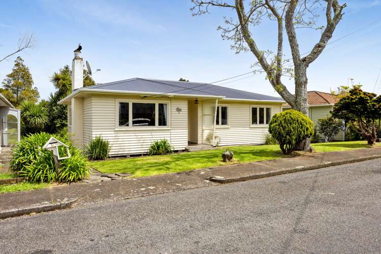 51 Essex Street Vogeltown_17