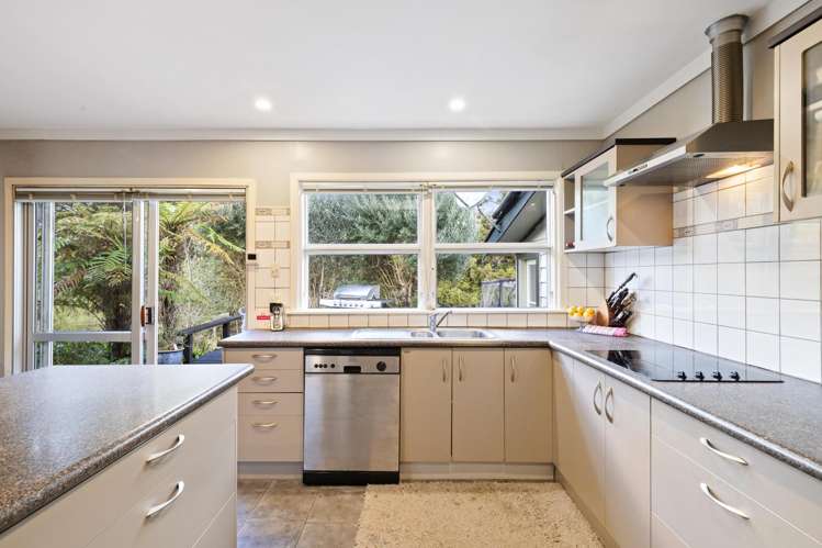 57 Thompson-Tonga Road Pukekawa_18