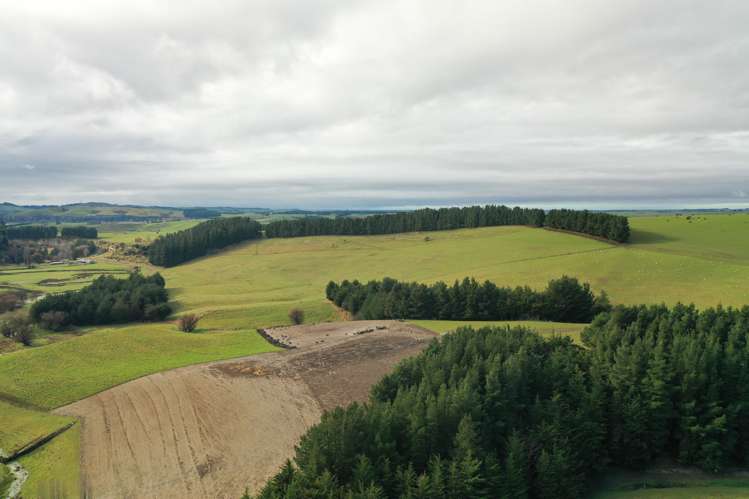 319 Monument Road Pleasant Point_14