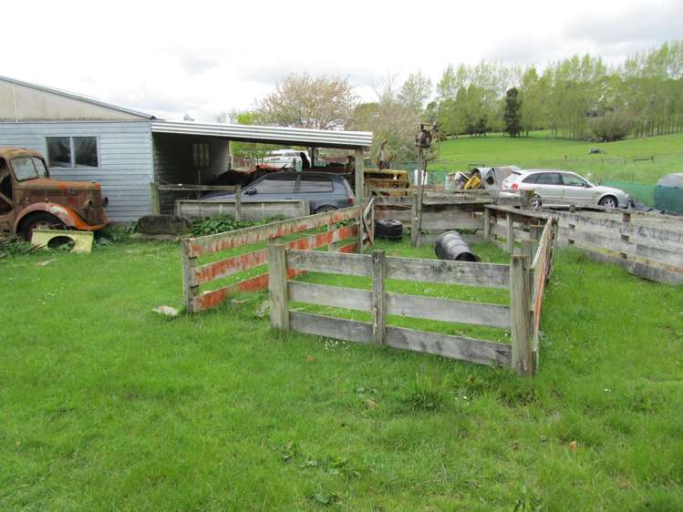 32 Level Street Dipton_19