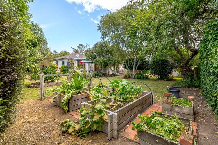 30 West Street Greytown_23