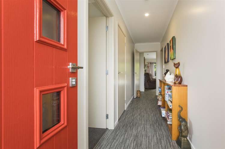 15d Aitken Street Bulls_6