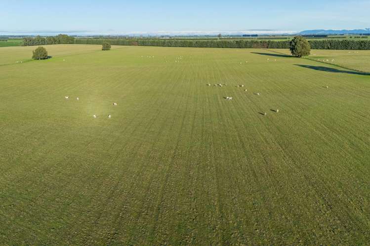 89 Chisnalls Road Hinds_6