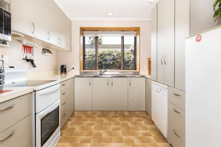 6 Owen Place Springlands_8