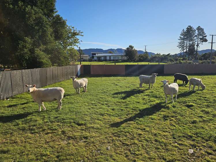 736 State Highway 7 Dobson_20